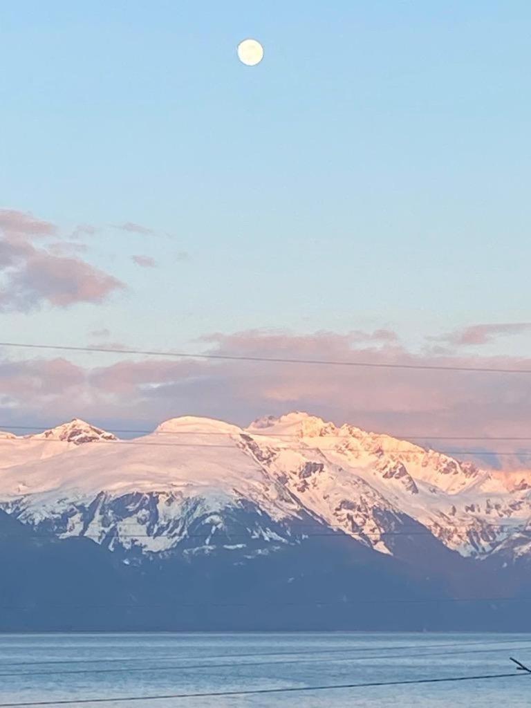 Cabin 1 Lynn View Lodge Haines Εξωτερικό φωτογραφία
