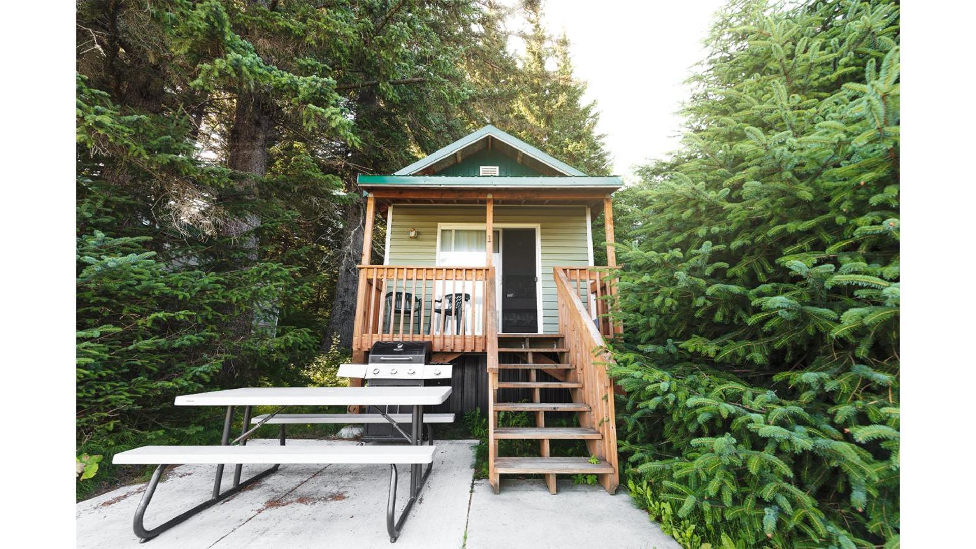 Cabin 1 Lynn View Lodge Haines Εξωτερικό φωτογραφία